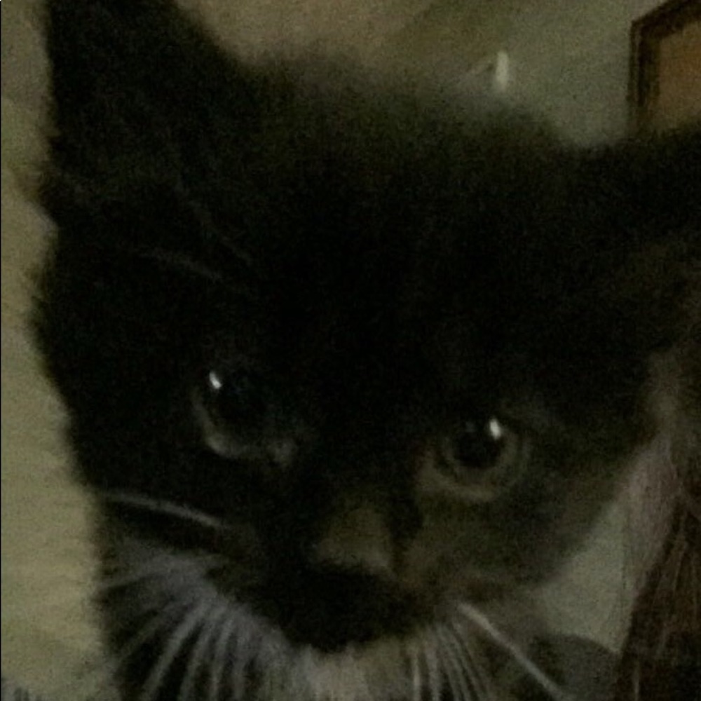 Meet your Posher, Matea